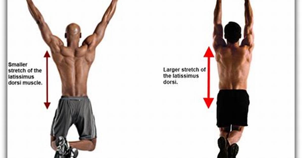 Does Chin up Work Lats?