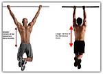 Does Chin up Work Lats?
