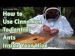 Does Cinnamon Attract Bees?