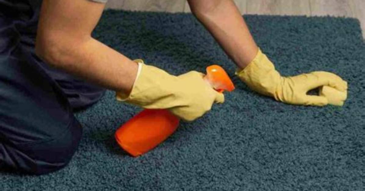 Does Cleaning Carpets Make Dirtier?