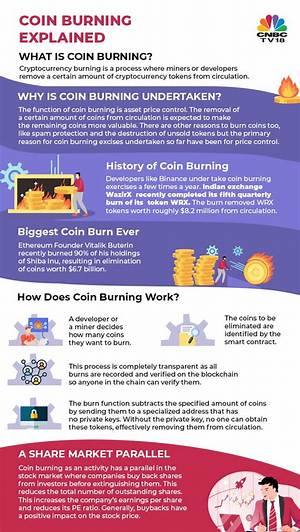 Does Coin Burning Increase Price?