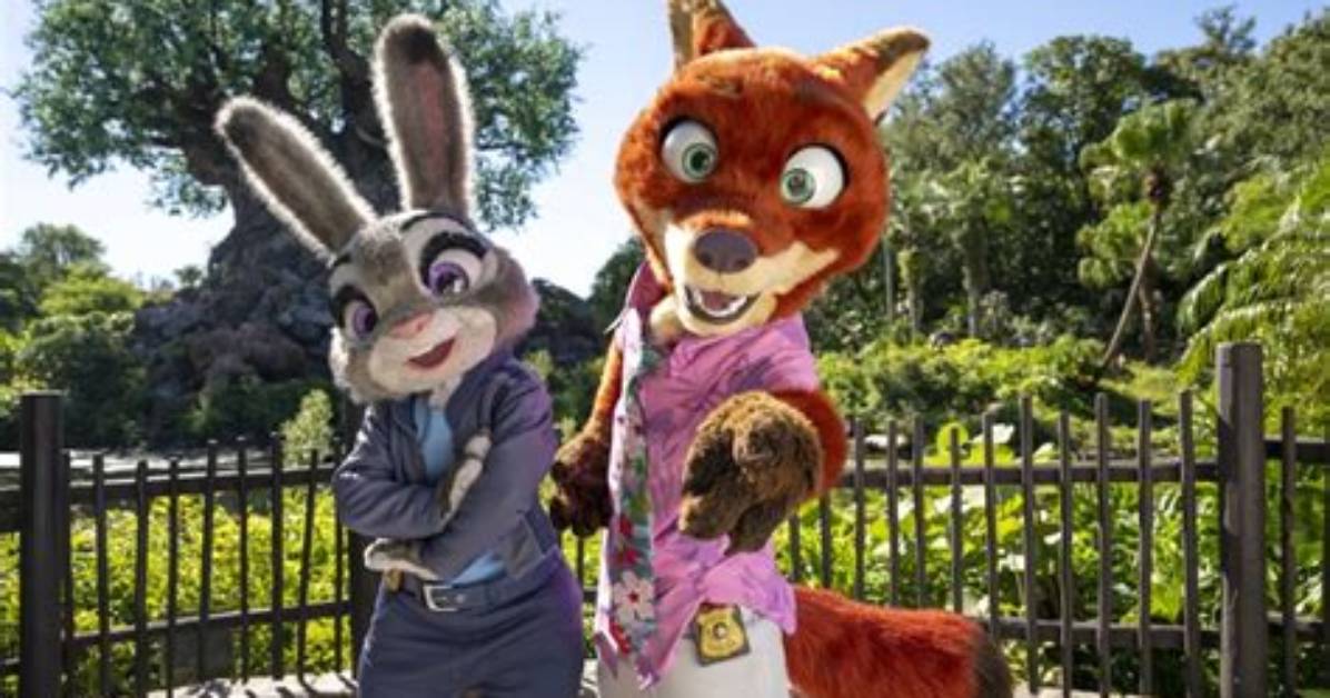 Does Disney World Let Cats out at Night?