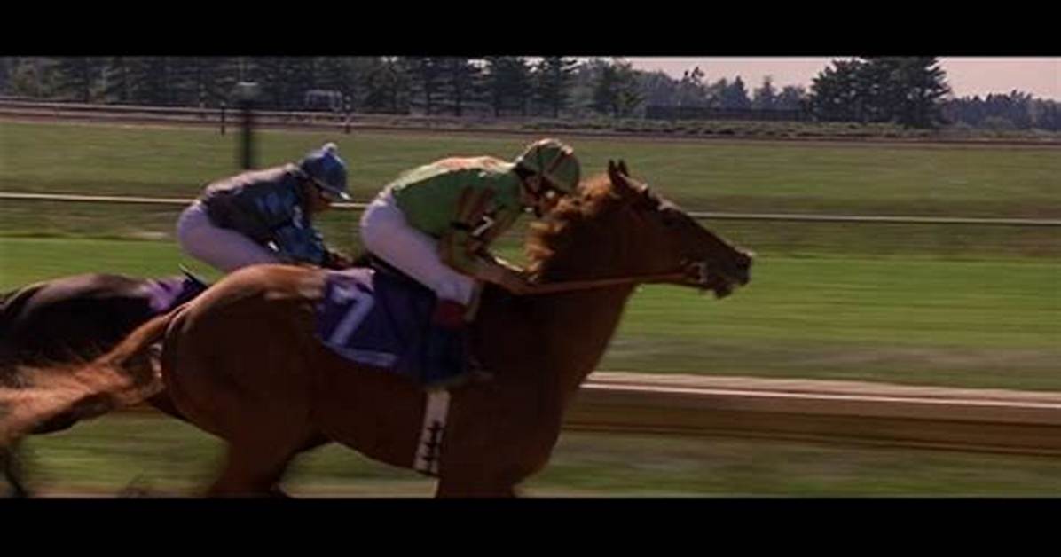 Does Dreamer Win the Breeders Cup?