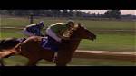 Does Dreamer Win the Breeders Cup?