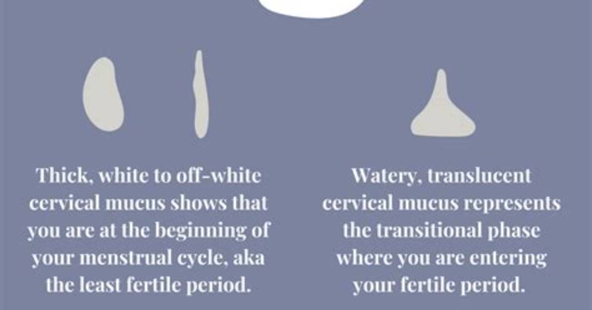 Does Drinking Water Help Cervical Mucus?