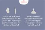 Does Drinking Water Help Cervical Mucus?