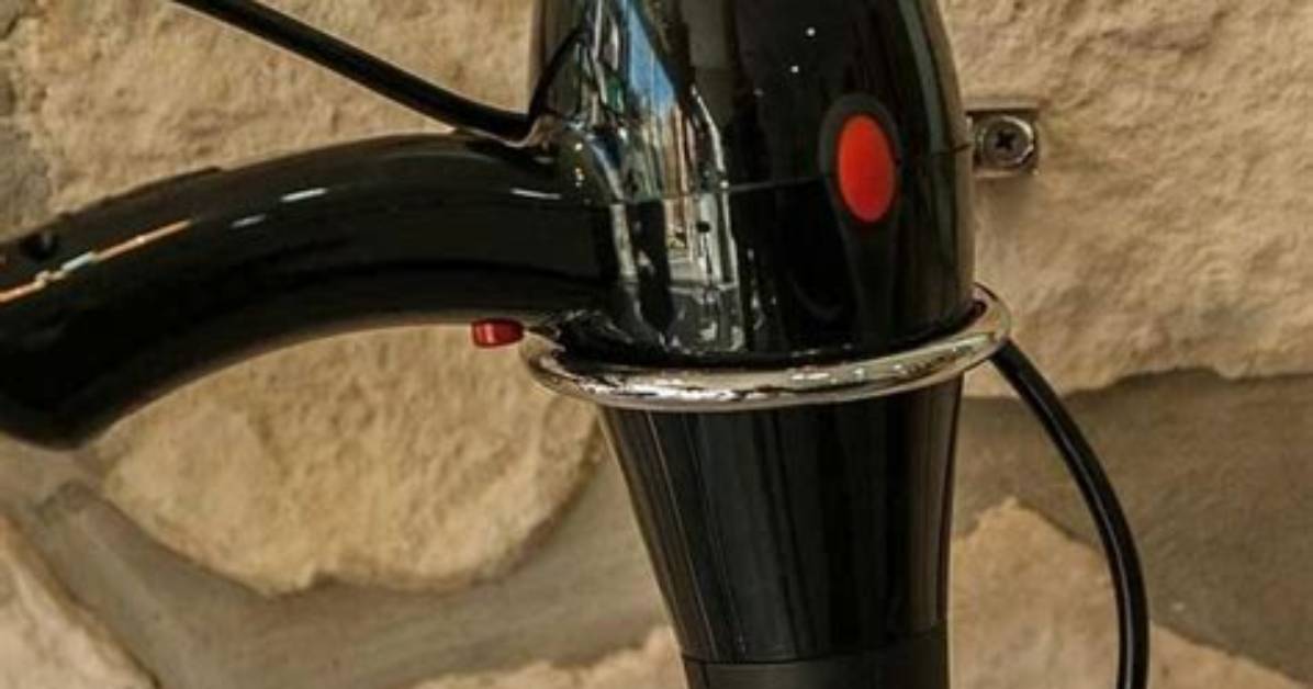 Does Dryer Kill Fleas?