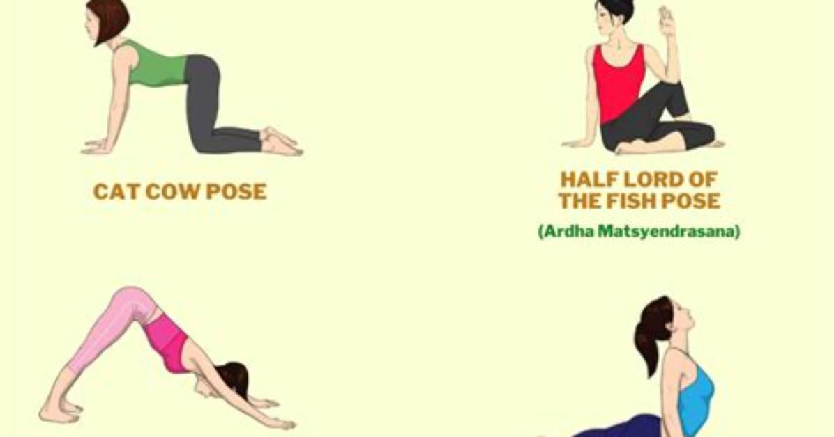 Does Exercise Reverse Fatty Liver?