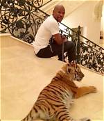 Does Floyd Mayweather Have a Tiger?