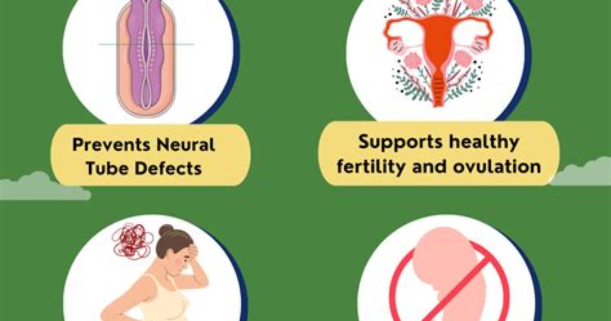 Does Folic Acid Make You Fertile?