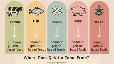 Does Gelatin Have Pork?