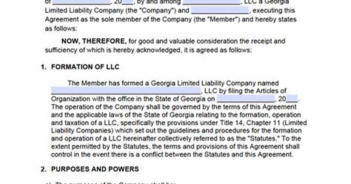 Does Georgia Require an Operating Agreement for an Llc?