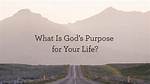 Does God Have a Purpose for Us?