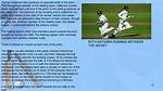 Does Hit Wicket Count on No-Ball?