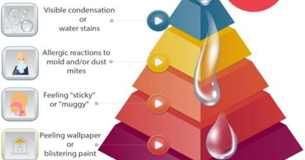 Does Humidity Affect