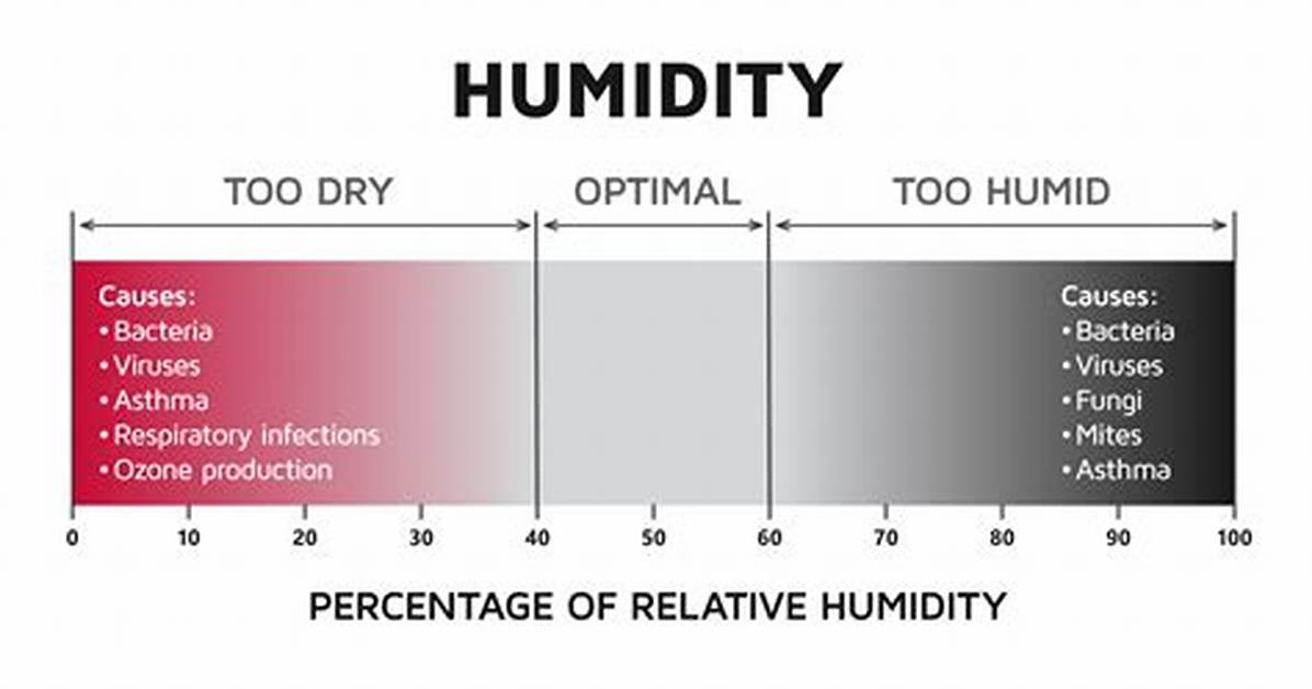 Does Humidity