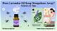 Does Lavender Oil Keep Away Mosquitoes?