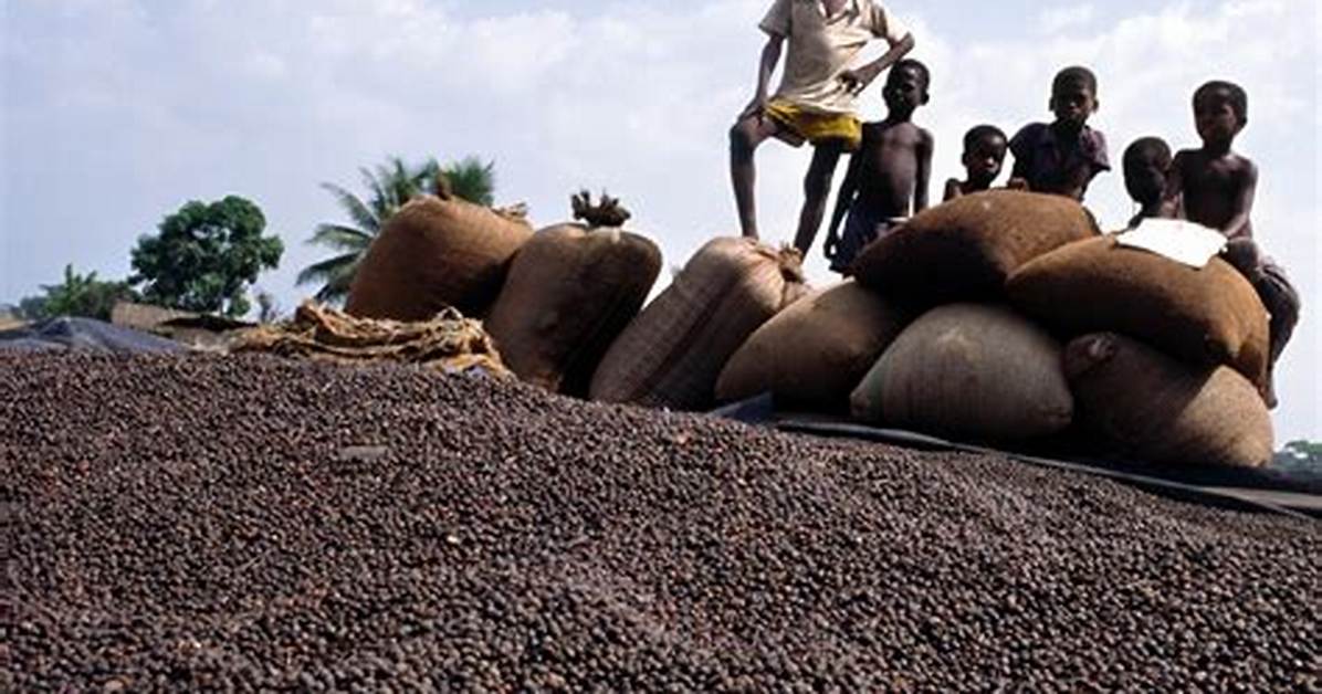 Does Lindt Use Child Labour?