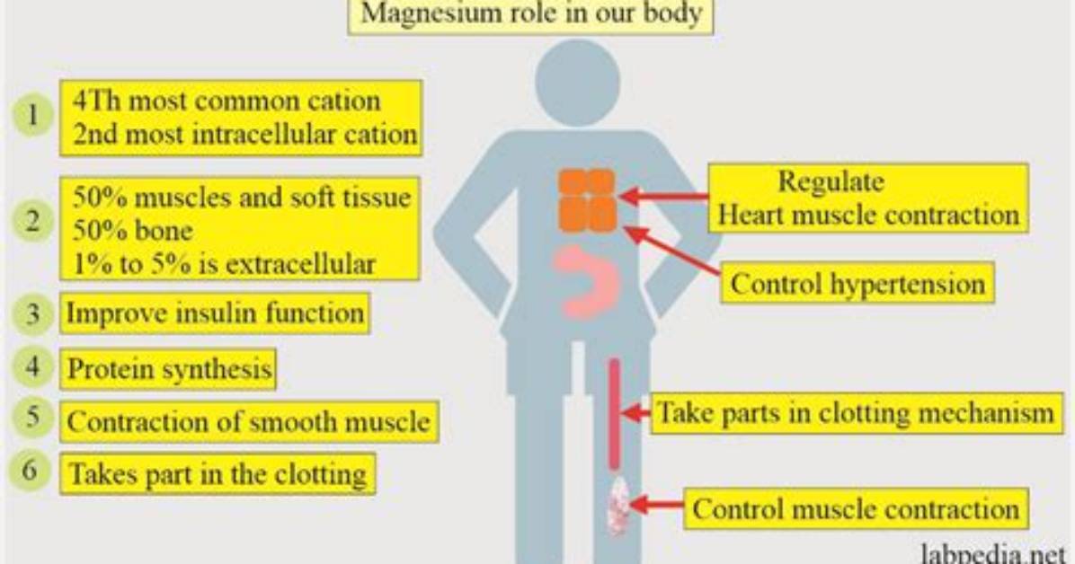 Does Magnesium Interact with Plaquenil?