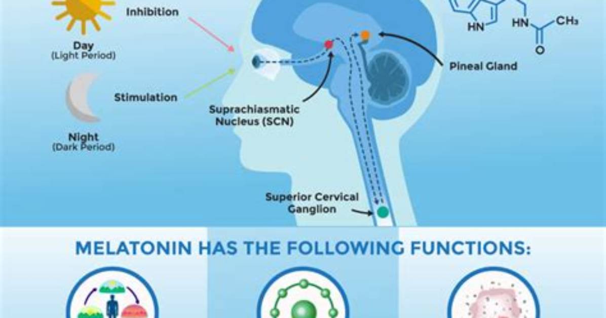 Does Melatonin Make You Look Younger?