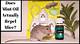 Does Mint Repel Mice? | Homesteady