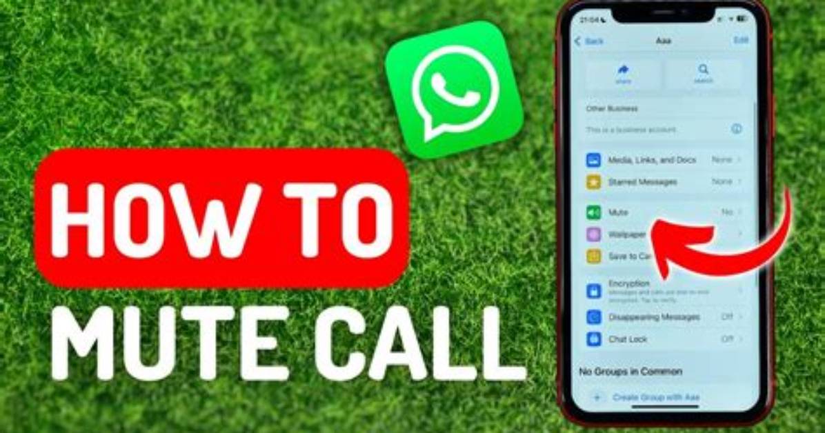 Does Muting on Whatsapp Stop Calls?