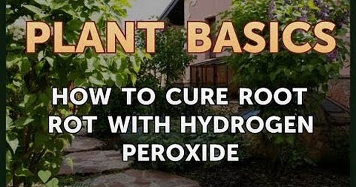 Does Peroxide Cure Root Rot?