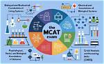 Does Physiology Help on Mcat?