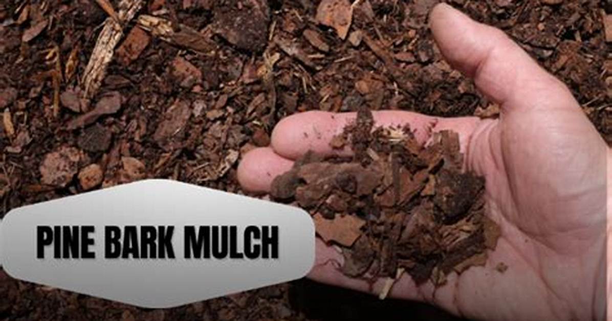 Does Pine Bark Mulch