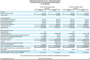 Does Pl Mean Income Statement?