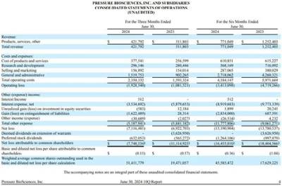 Does Pl Mean Income Statement?