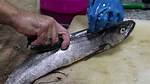 Does Pollock Fish Have Scales?