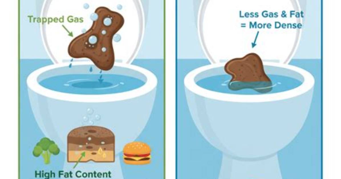 Does Poop Float in Ocean?