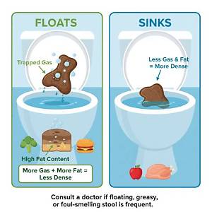 Does Poop Float in Ocean?