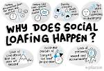 Does Social Loafing Mean?