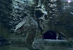 Does the Basilisk in Harry Potter Have a Name?