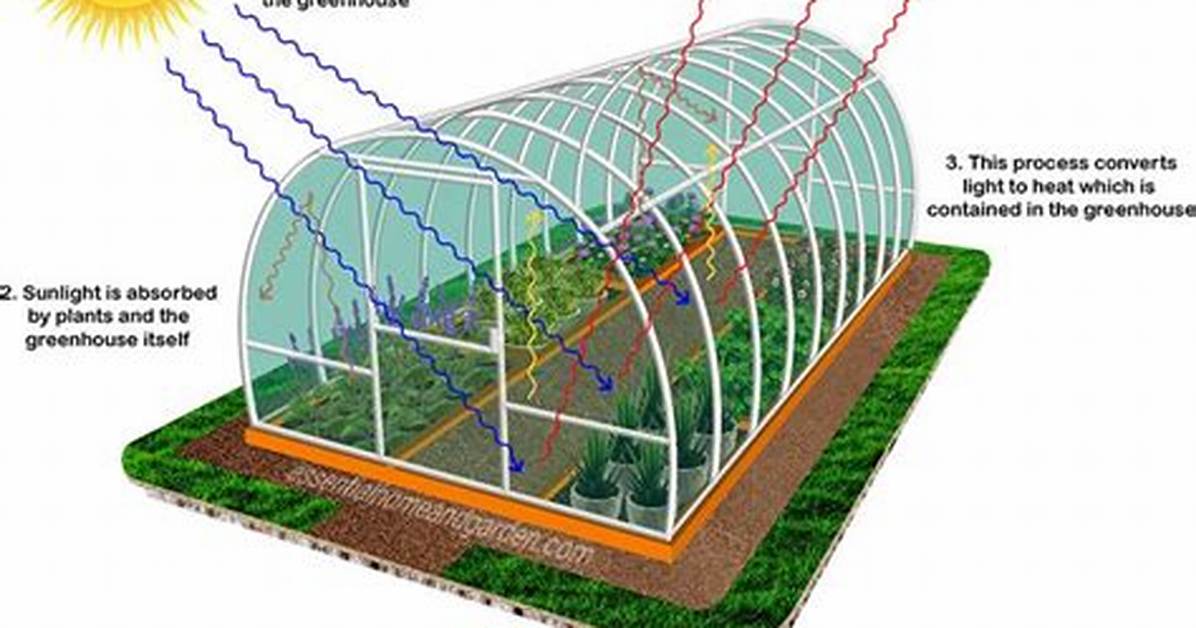 Does the Shape of a Greenhouse Matter?