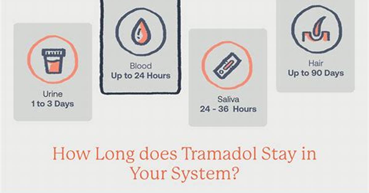 Does Tramadol Help Last Longer in Bed?