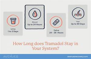Does Tramadol Help Last Longer in Bed?