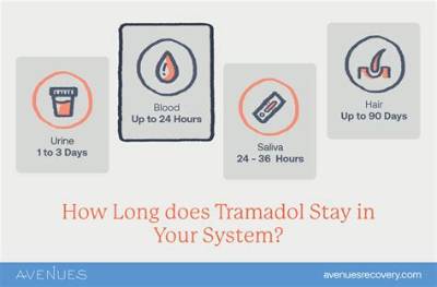 Does Tramadol Help Last Longer in Bed?