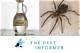 Does Vinegar Get Rid of Ants, Spiders or Insects?