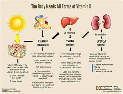 Does Vitamin D Help with Fibromyalgia?