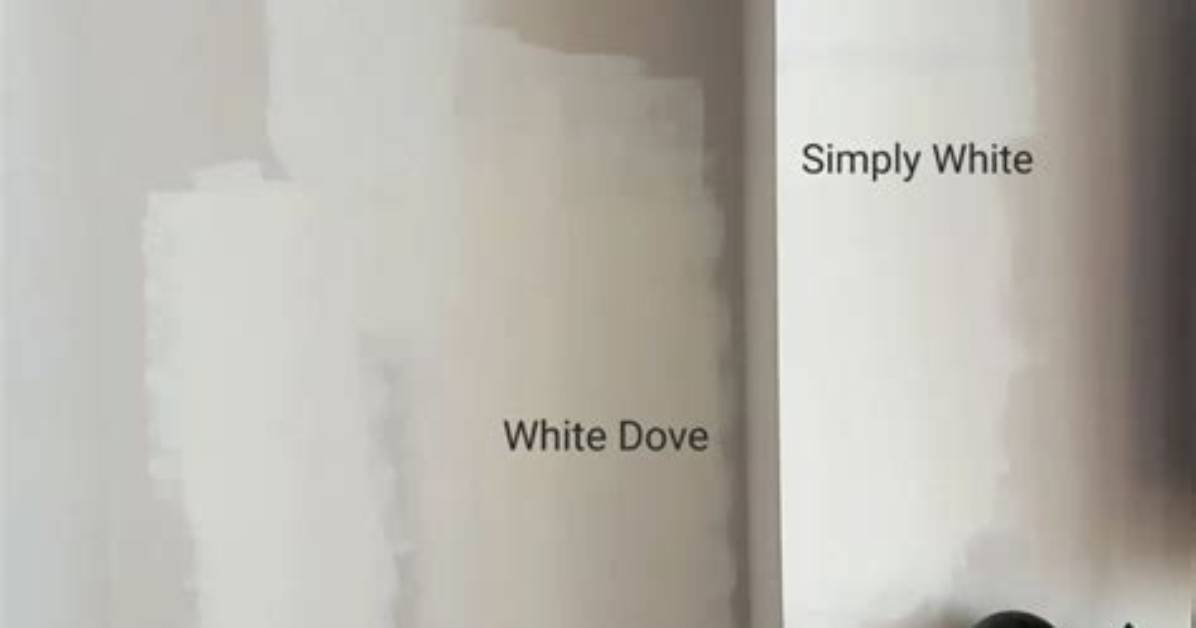 Does White Dove Looks Dingy?