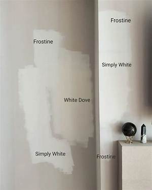Does White Dove Looks Dingy?
