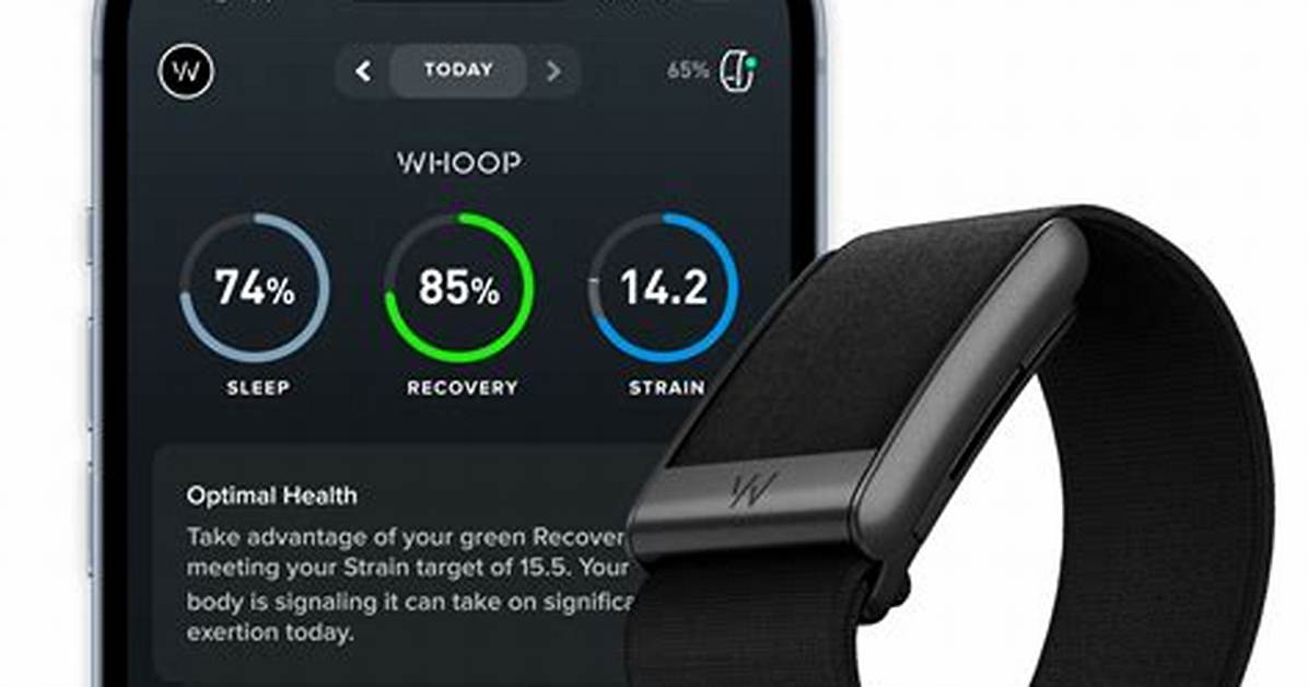 Does Whoop Do Ekg?