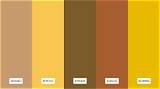 Does Yellow Go with Brown?