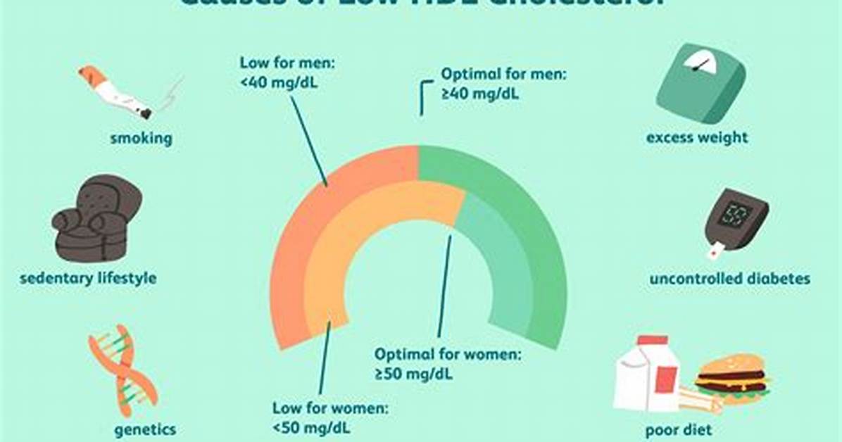 Does Zinc Lower Hdl?