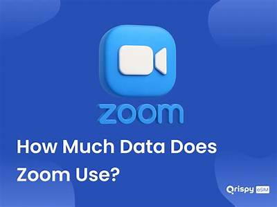 Does Zoom Use Less Data Than Whatsapp?