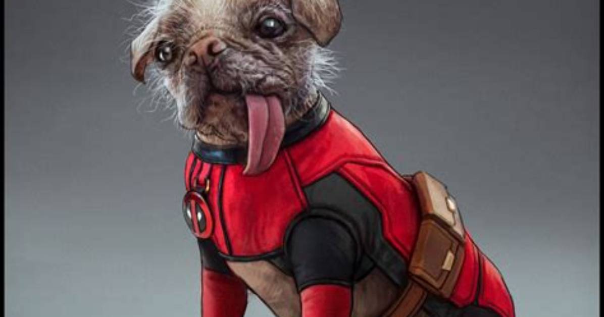 Dog Pool from Deadpool: a Comprehensive Guide to the Iconic Marvel Character's Beloved Pet