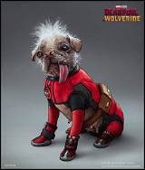 Dog Pool from Deadpool: a Comprehensive Guide to the Iconic Marvel Character's Beloved Pet